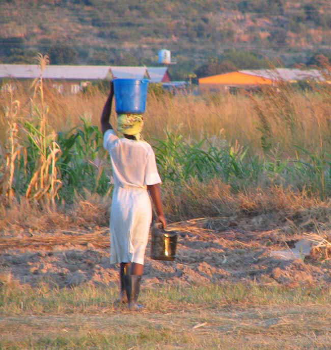 Farming in Zambia