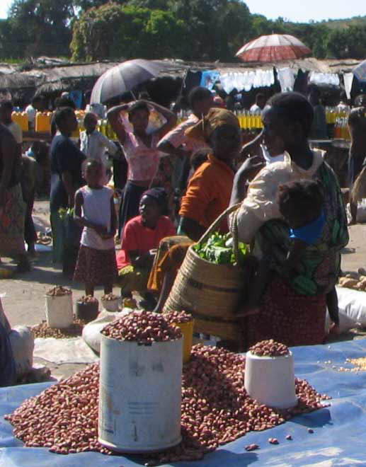 Zambian Food: Beans